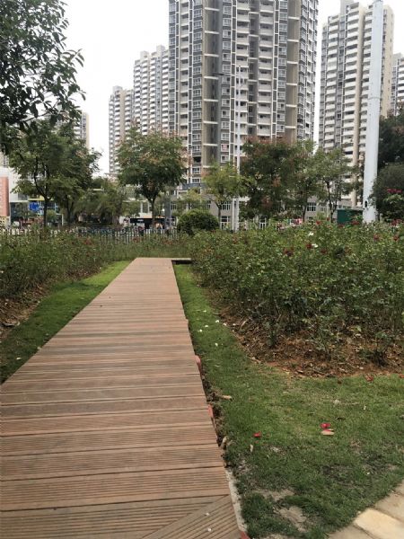 江西赣州市月季公园